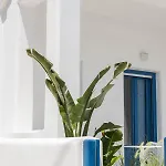Hotel Villa Amore *