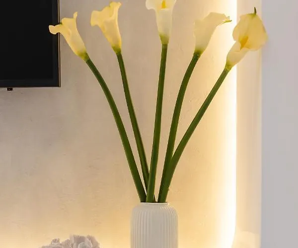 ホテル Villa Amore