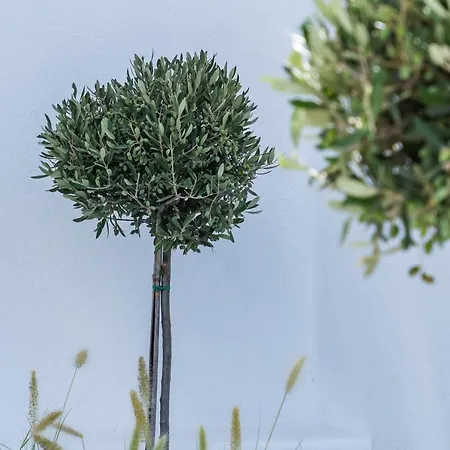 Hotel Villa Amore Karterádos