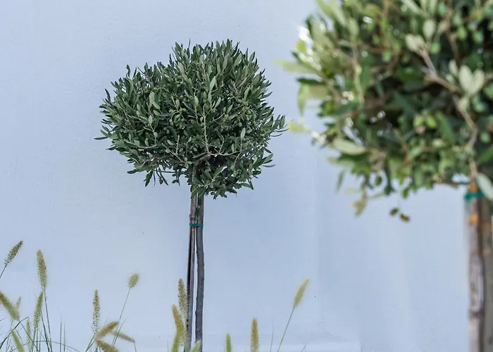 Otel Villa Amore Karterados (Santorini)